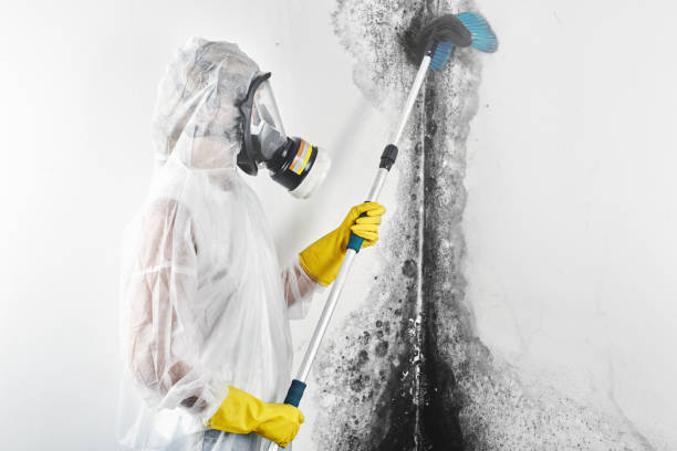 Best Emergency Mold Remediation  in Rapid City, SD