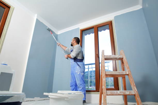 Best Commercial Mold Inspection  in Rapid City, SD