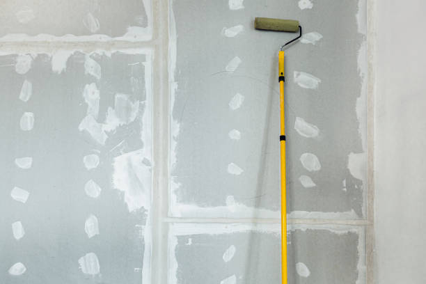 Best Forensic Mold Investigation  in Rapid City, SD