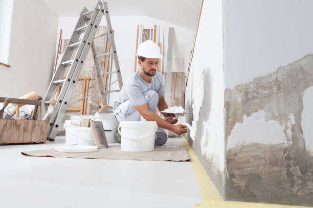 Rapid City, SD Mold Removal Company
