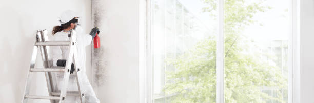 Best Real Estate Mold Inspection  in Rapid City, SD