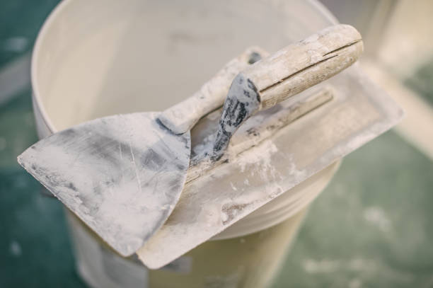 Best Asbestos and Lead Testing During Mold Inspection  in Rapid City, SD